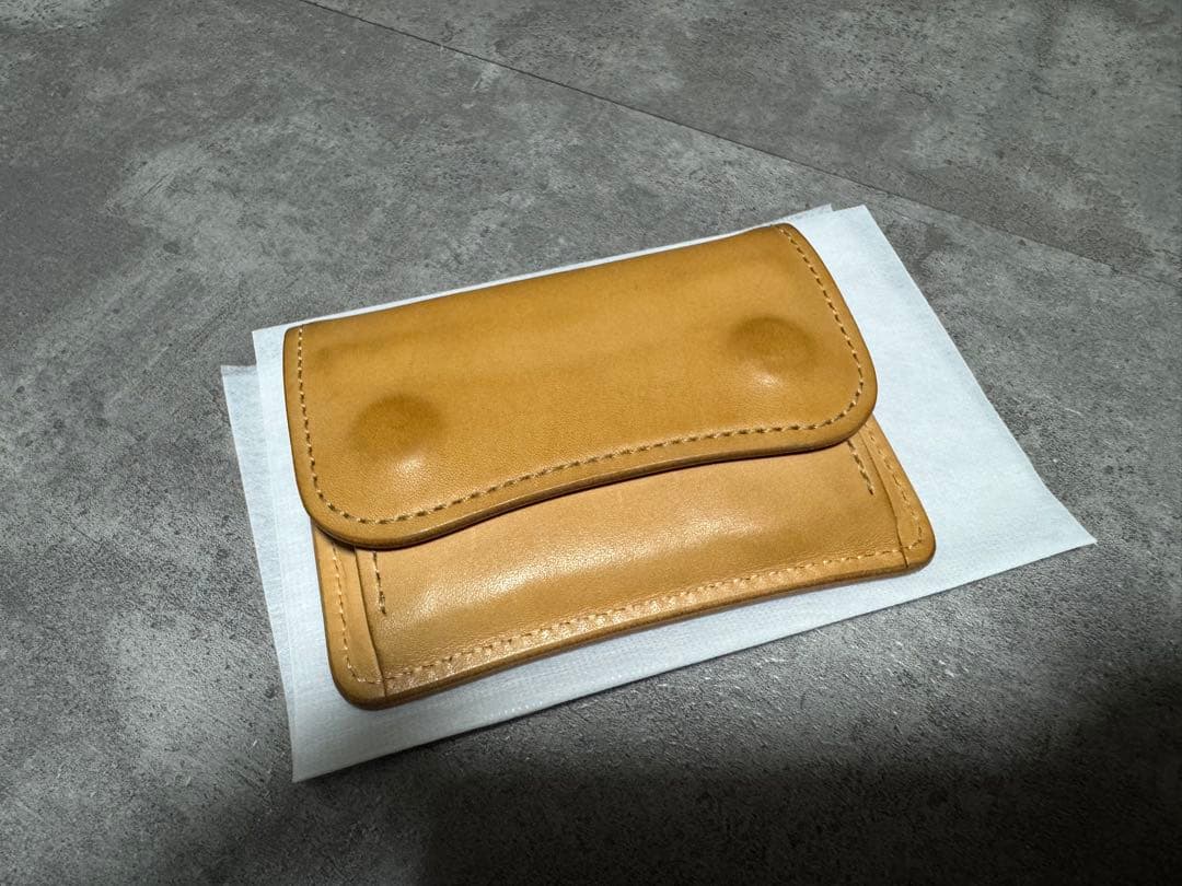 画竜点睛 　WILDSWANS TONGUE