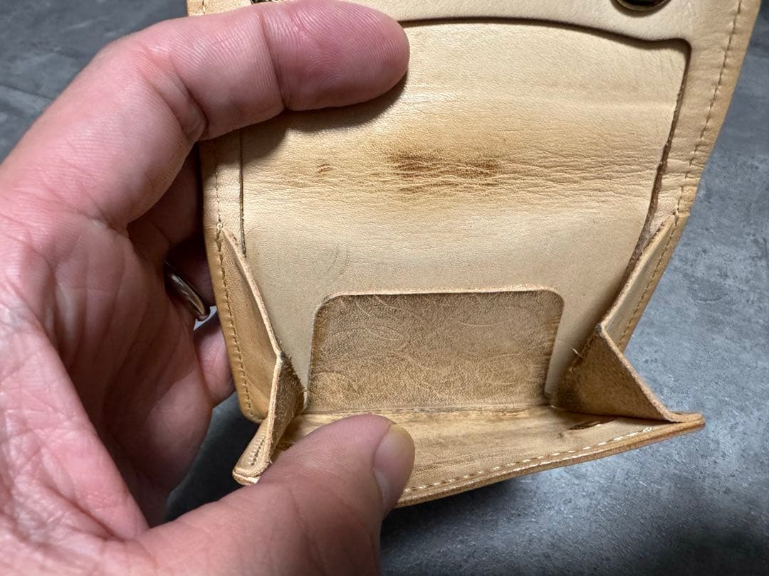 画竜点睛 　WILDSWANS TONGUE