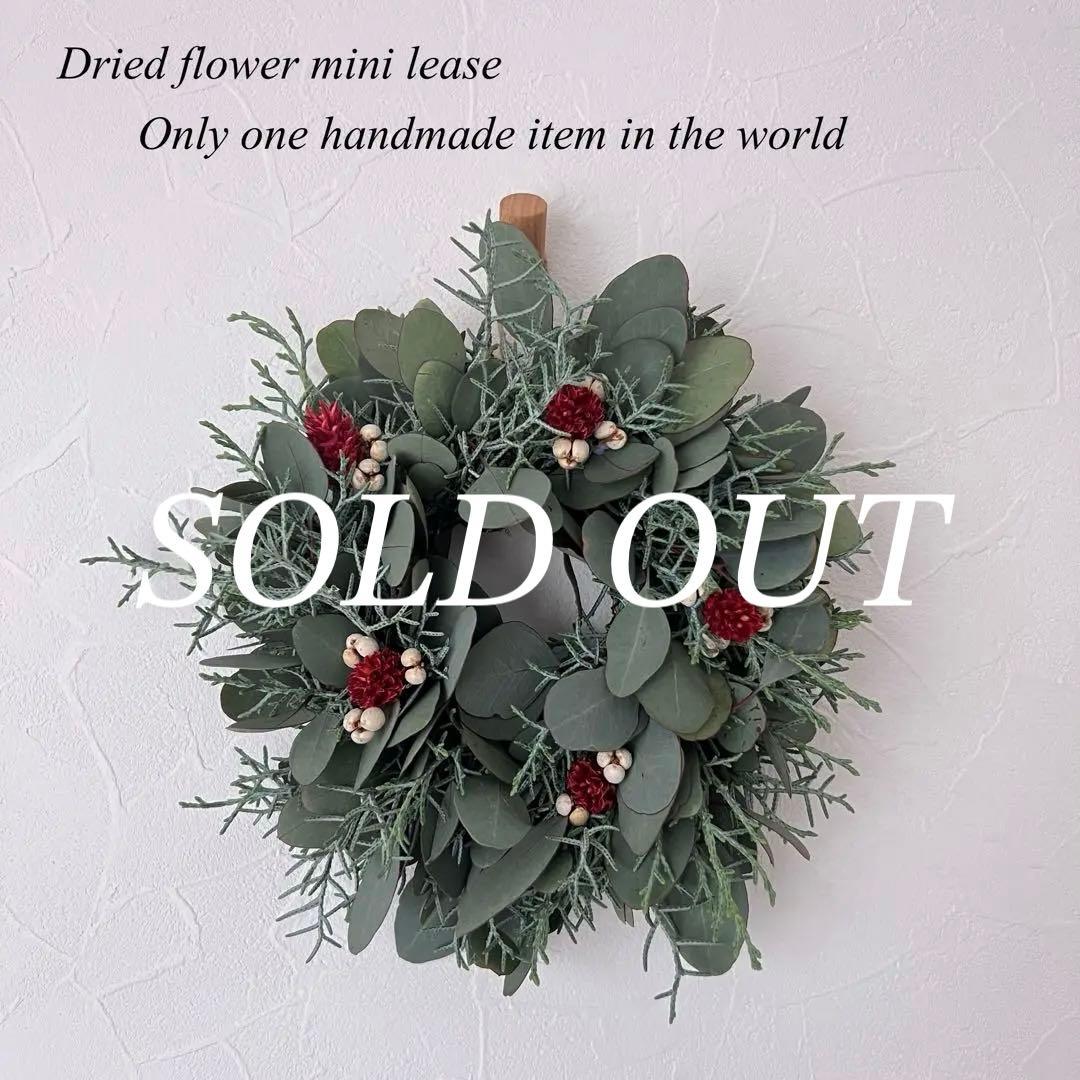 【SALE】ポポラスとブルーアイスのクリスマスリース* * *ラッピング無料