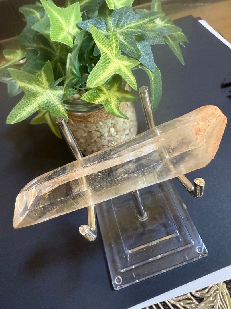 第２弾Special rank Bigピンクレムリアンシード