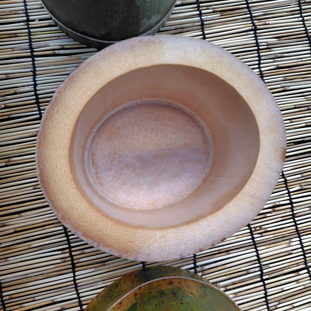 JK様「専用画面」　香川県産→　孟宗竹・花器　８個　極太サイズ