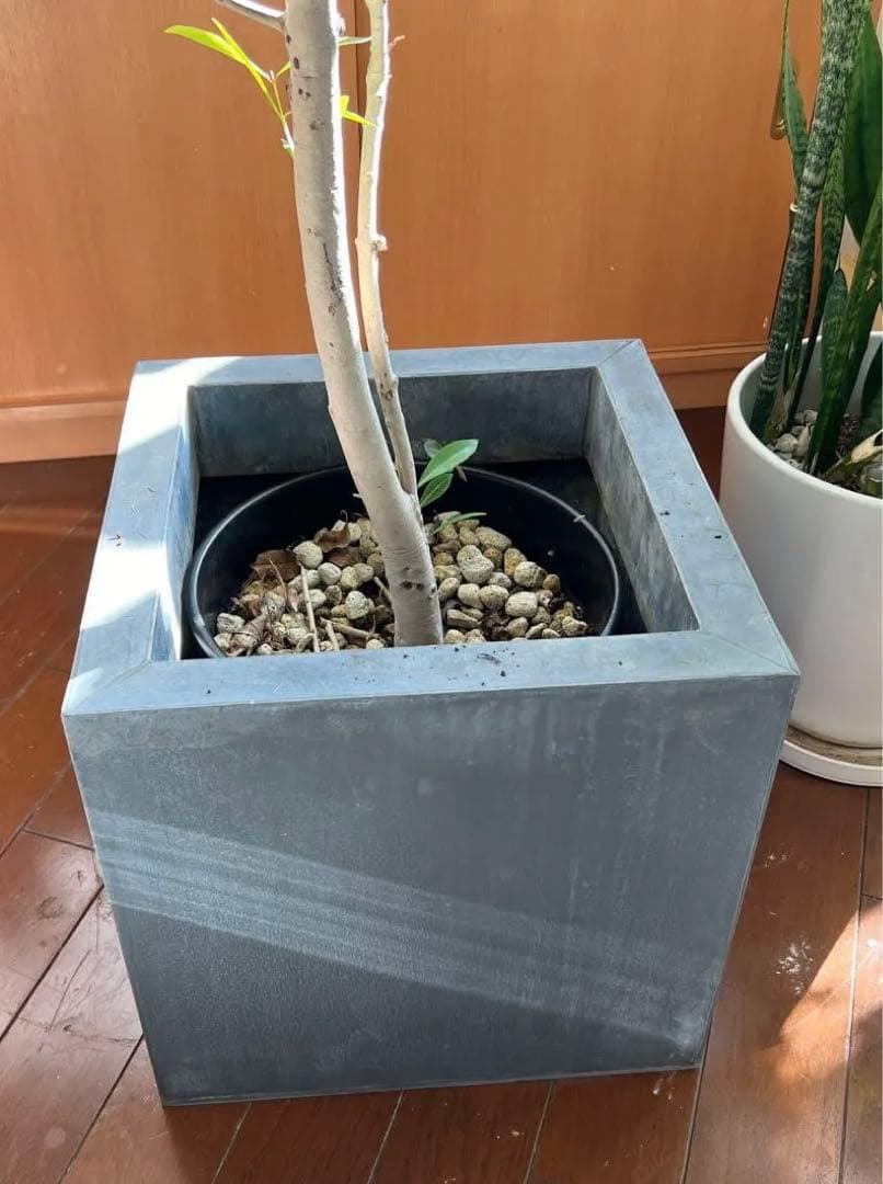 DOMANI ドマーニ ZINC CUBE HZCR40 鉢　プランター