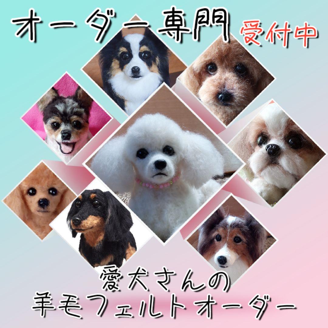 愛犬さんの羊毛フェルトオーダー専門・わんちゃん