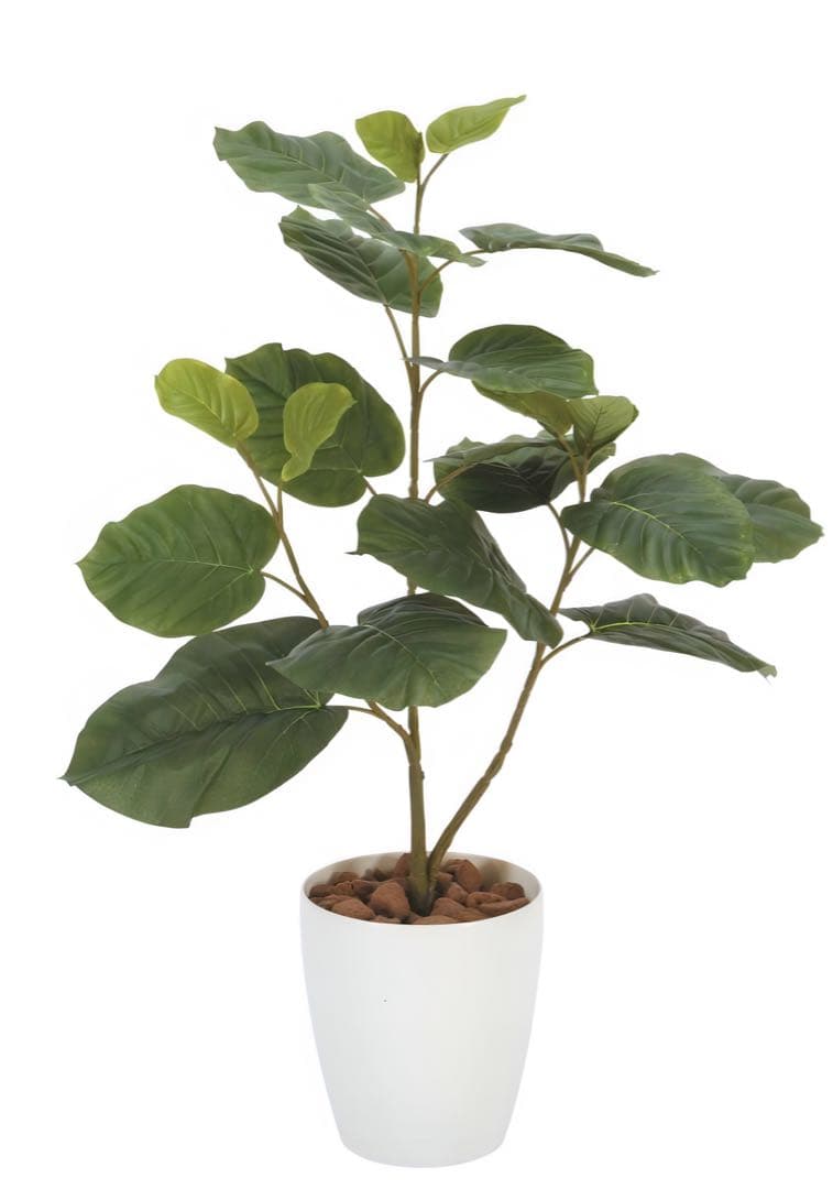 光触媒　人工観葉植物　フェイクグリーン　ウンベラータ高さ80センチ