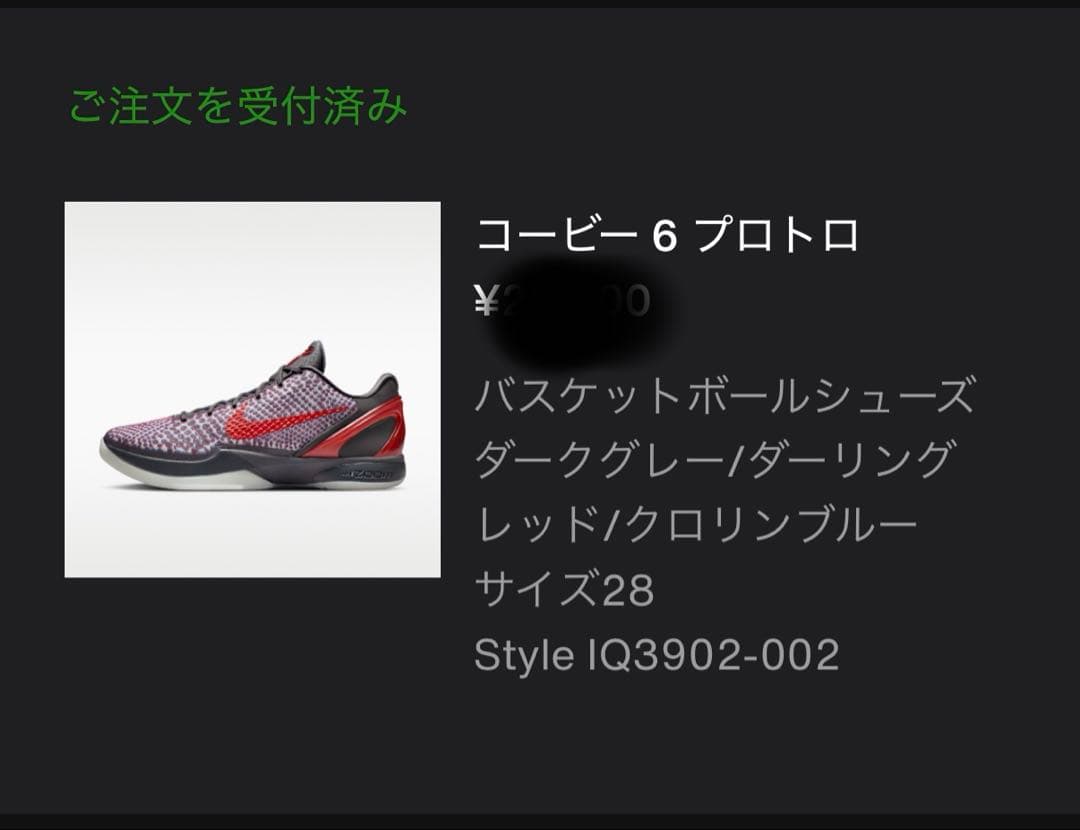 靴 Nike Kobe 6 Protro All Star 3D