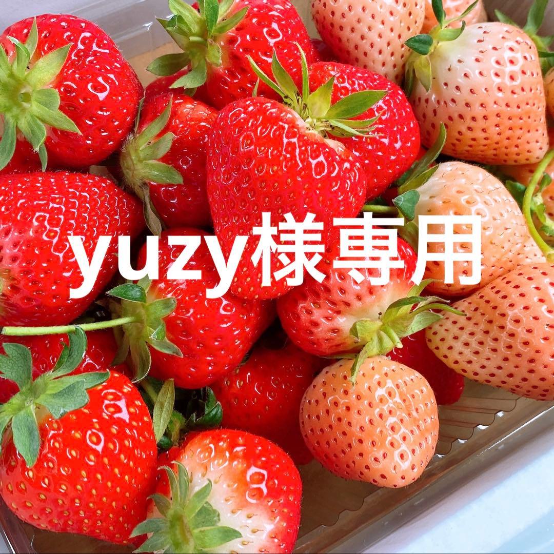 ドライフラワー❇️染めミニバラ❣️