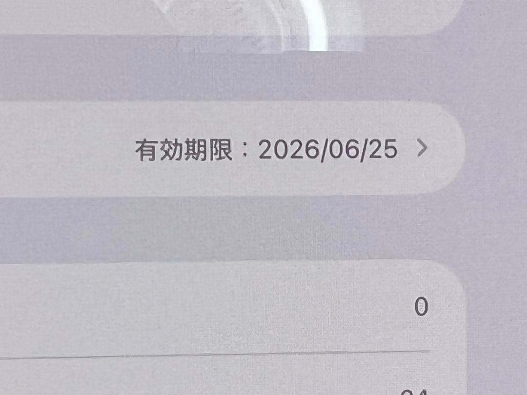 iPad Pro 11インチ(M4)