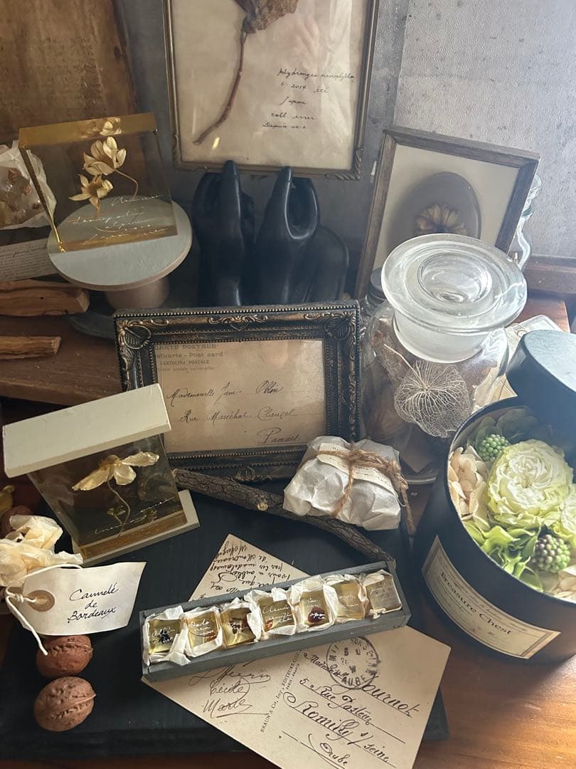 errer 樹脂標本 7種 植物標本 木箱入り 古道具 アンティーク