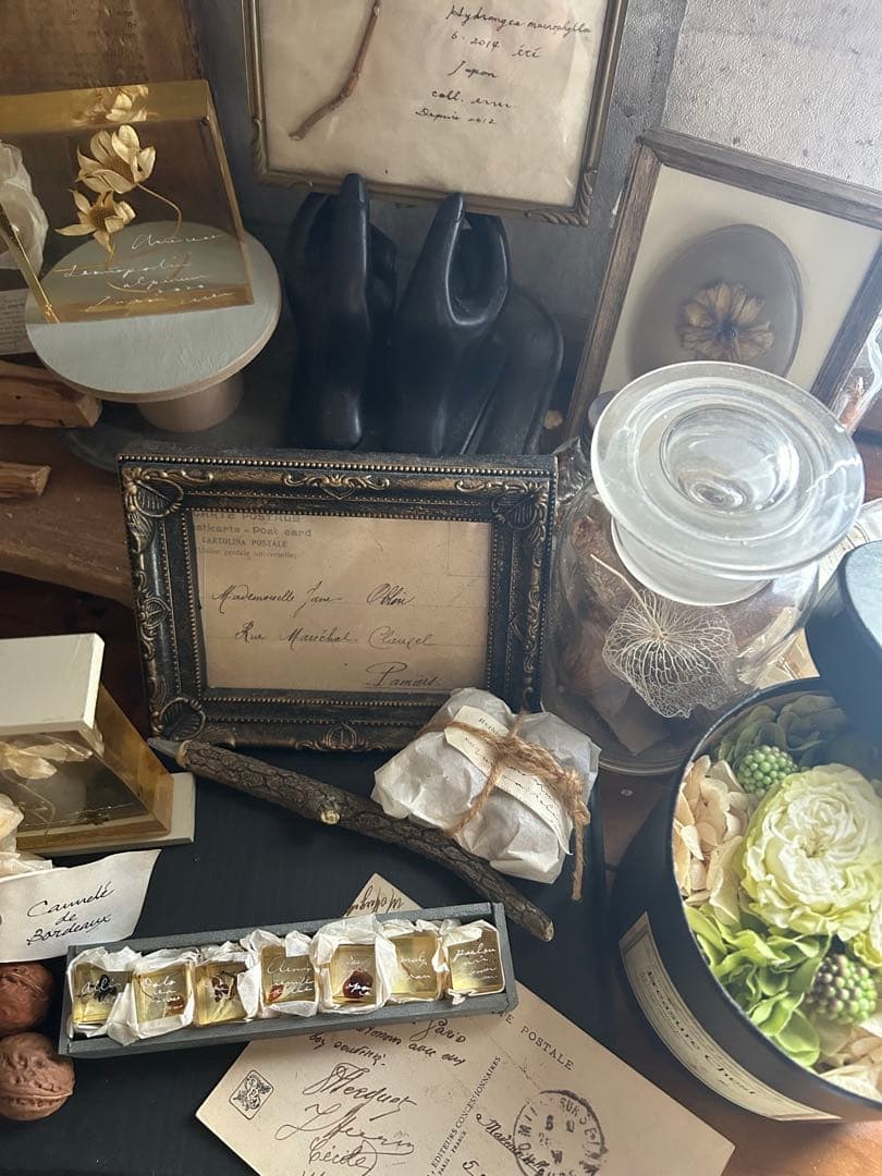 errer 樹脂標本 7種 植物標本 木箱入り 古道具 アンティーク