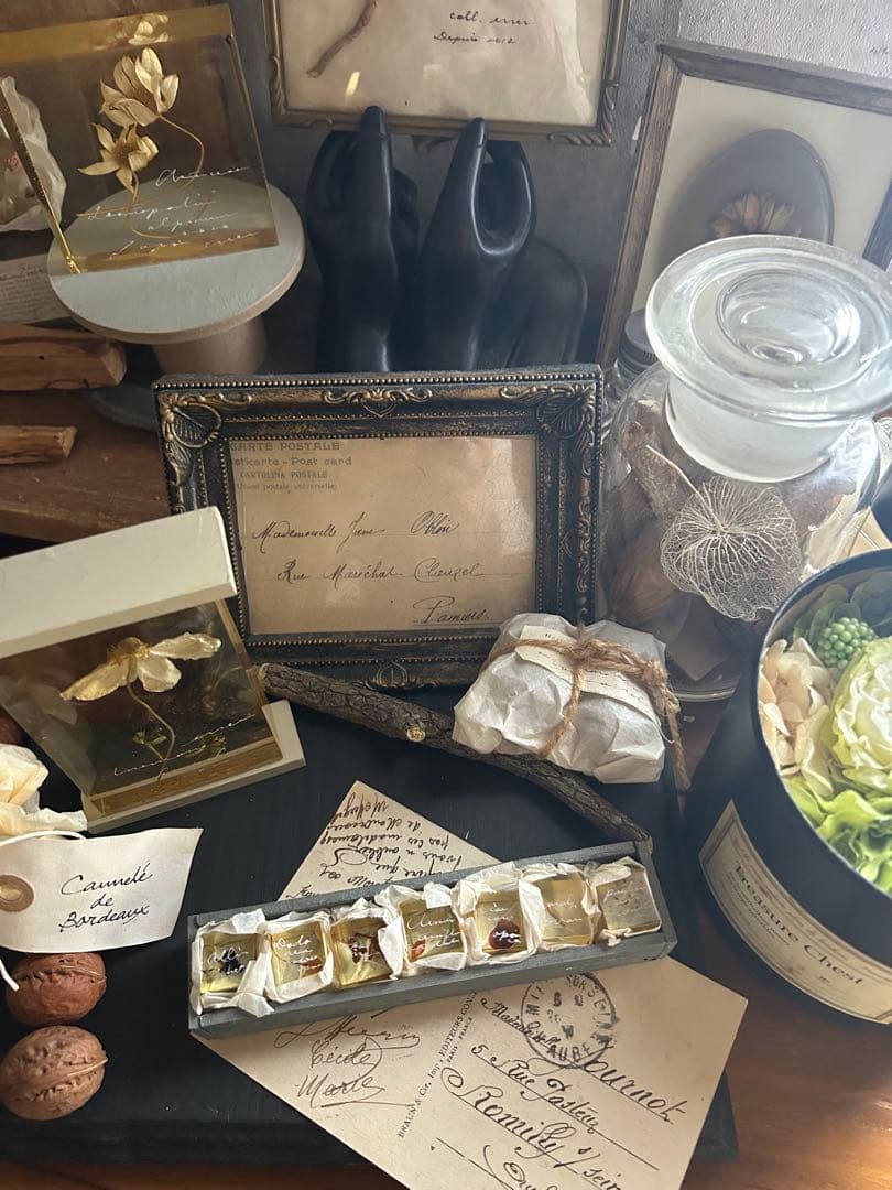 errer 樹脂標本 7種 植物標本 木箱入り 古道具 アンティーク