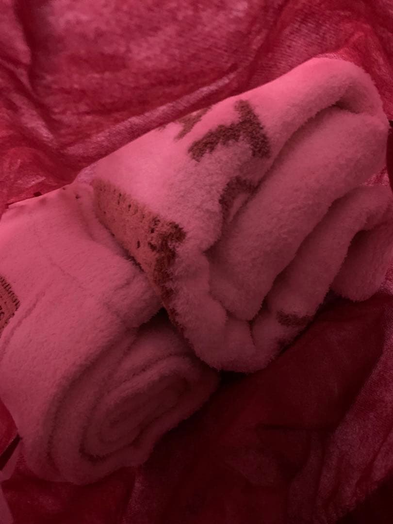 正規品【新品タグ付き】 ジェラートピケ パウダー ビスケット上下セット クリーム