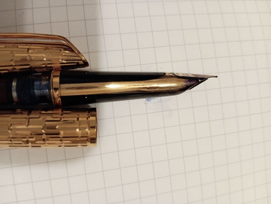 ウォーターマン　cp2 ワニ柄