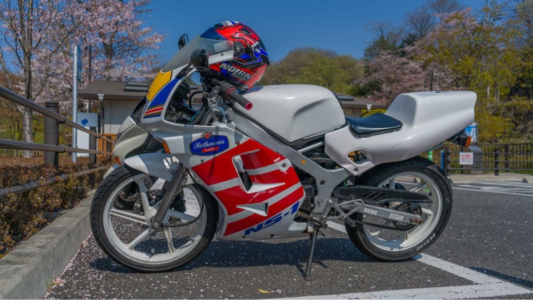 ホンダ　NS1 カウル(左と右)