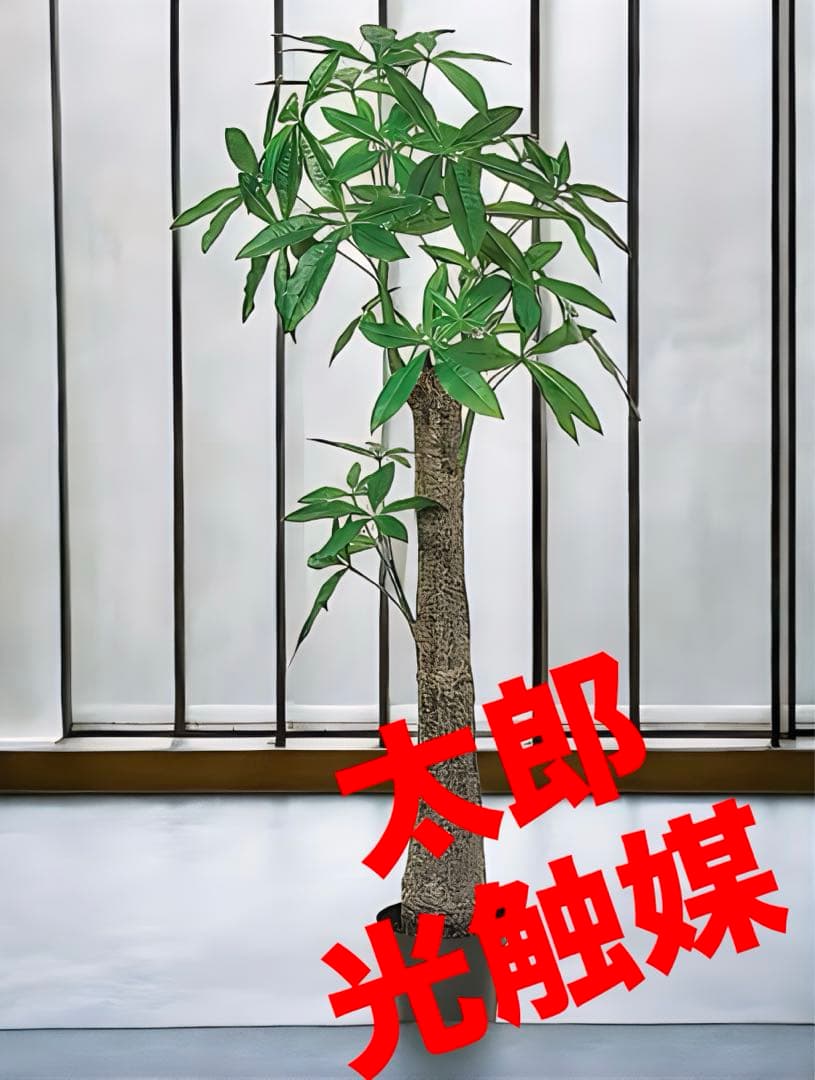 光触媒　人工観葉植物　ウォールグリーン　フェイクグリーン　太パキラ150