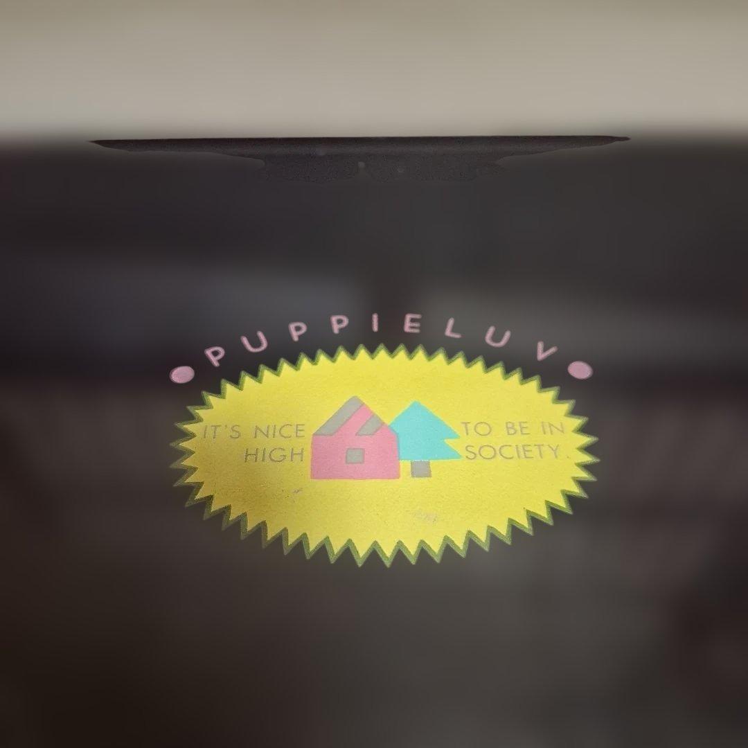 サンリオ　PUPPIE LUVパピーラブ 　昭和レトロ　小物入　ボックス　当時物