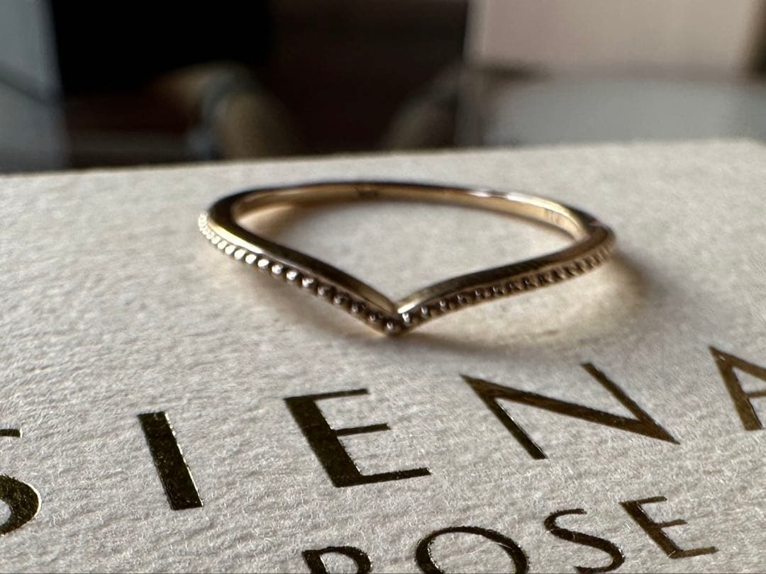 siena K10 クラウドリング