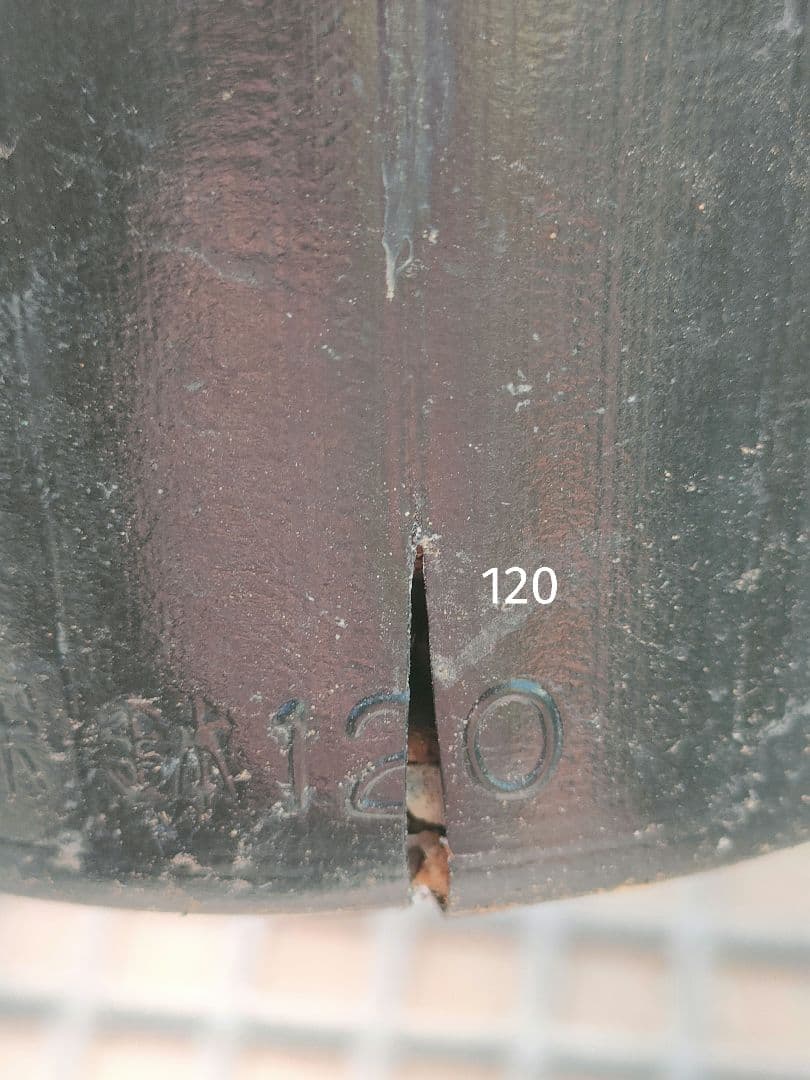 クリスマスローズ　苗