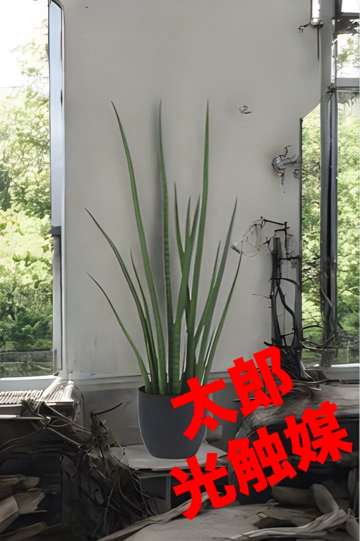 光触媒　人工観葉植物　ウォールグリーン　フェイクグリーン　サンスベリアスタッキー