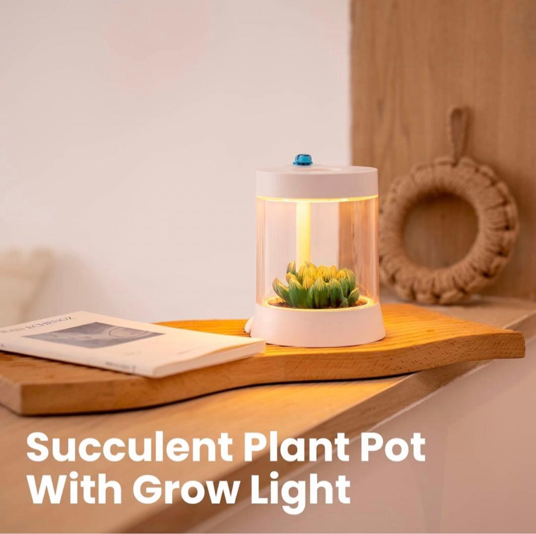 FTOYIN 多肉植物 快適なナイトライト