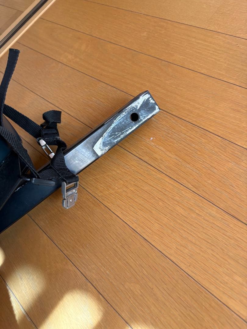 バディライダー 自転車用ペットシート 専用のクッション付き