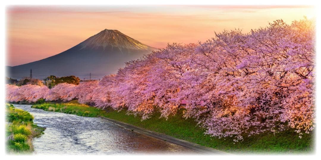 【壁掛け】富士山 さくら 桜 渓流 景色 照明 看板 置物 雑貨 ライトBOX