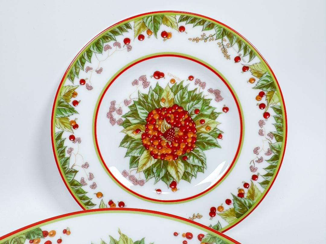 HERMES エルメス ピタゴラスの庭 ディナープレート 2枚 大皿 中皿 廃番