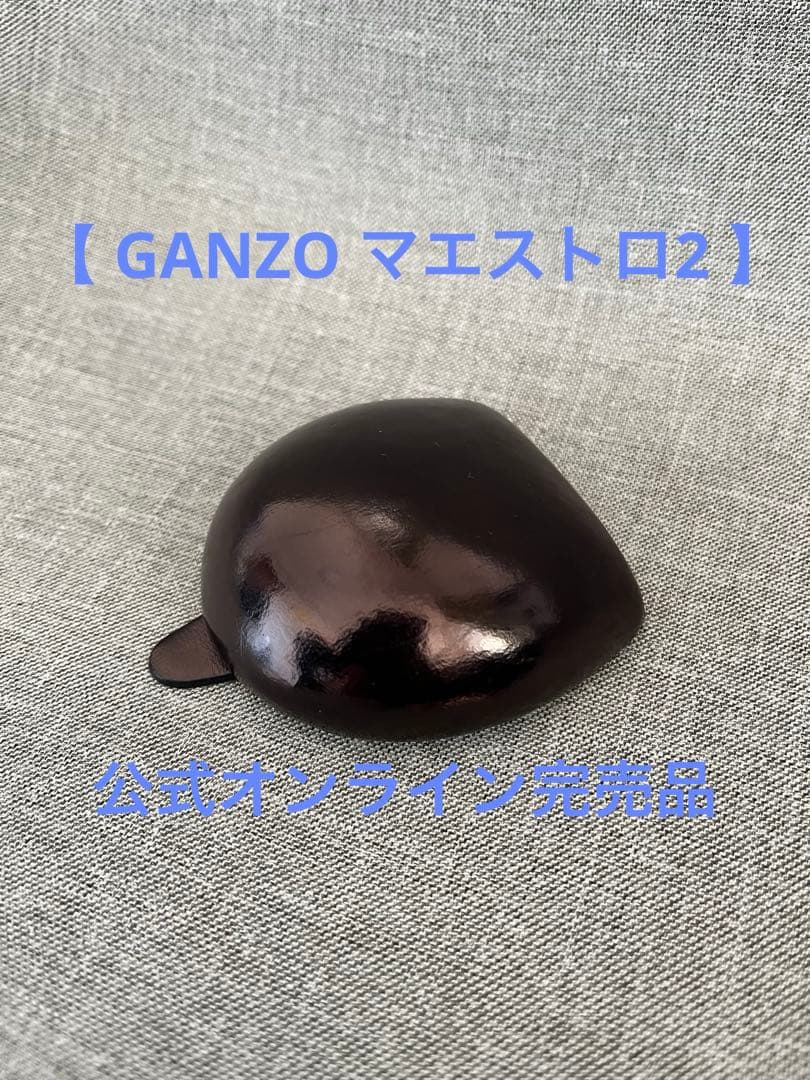 GANZO ガンゾ 小銭入れ マエストロ2 ブラック