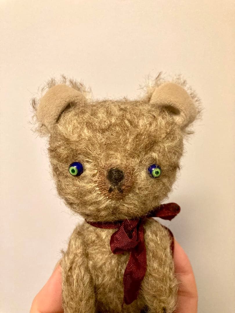 テディベア　Grace