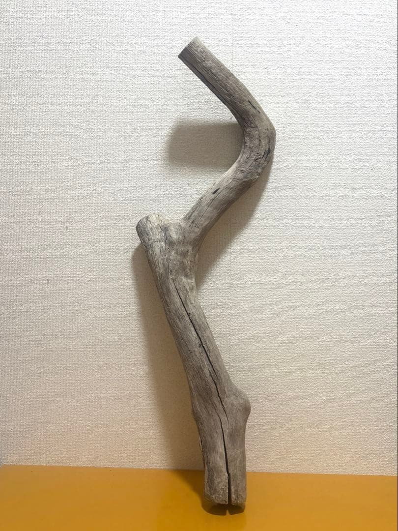 Ｇ39 流木　爬虫類　両生類　小動物シェルター　DIY ハンドメイド　観葉植物