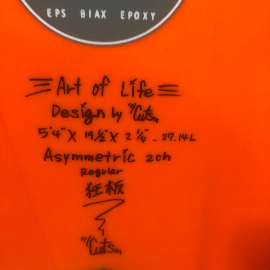 Insane サーフボードアシンメトリー