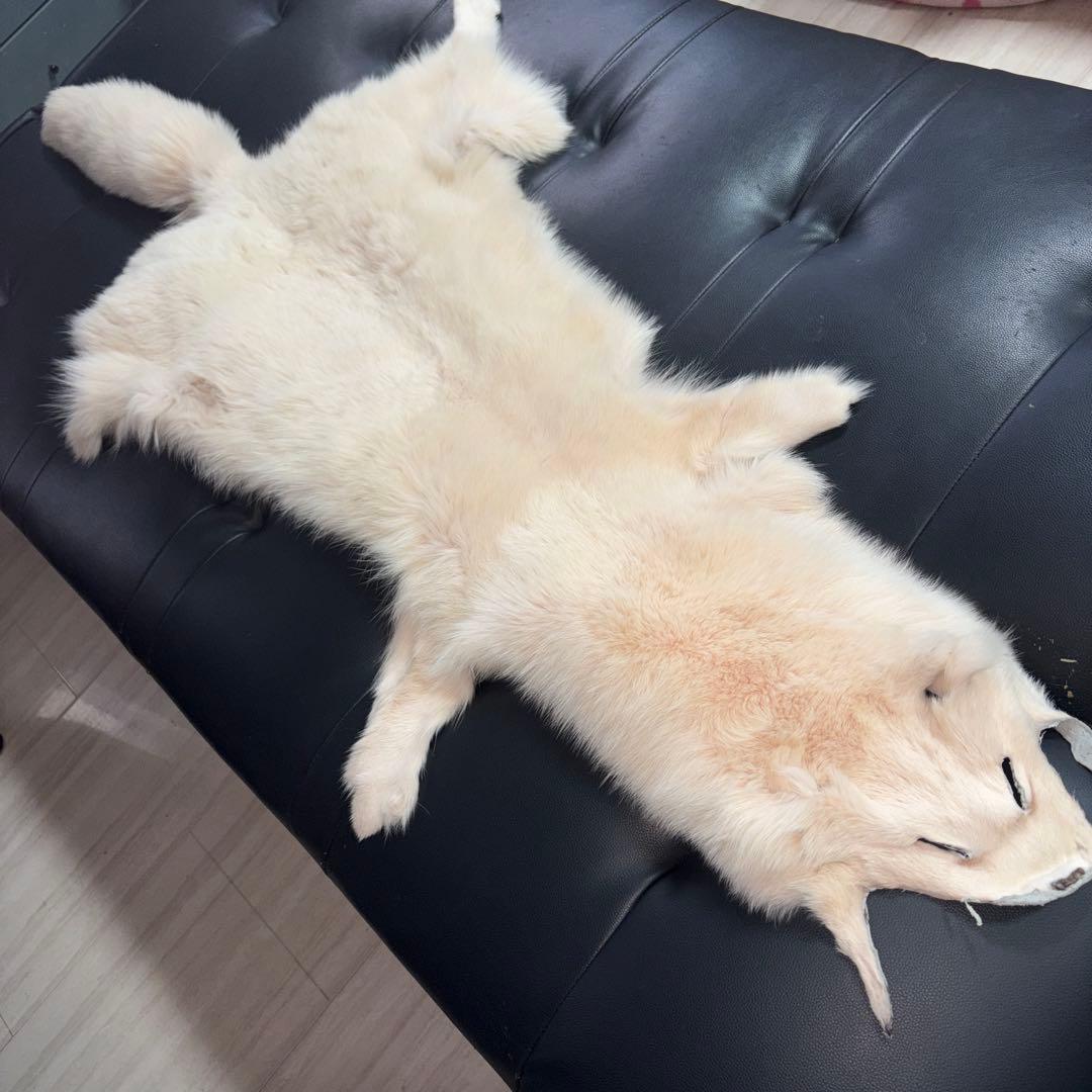 新品❣️豪華❣️フォックス１匹❣️ホワイト毛皮ラグ