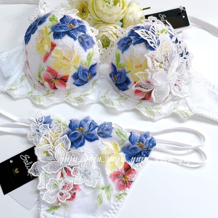 ワコール/サルート 46グループ マダガスカル p-upブラソング D75 WH