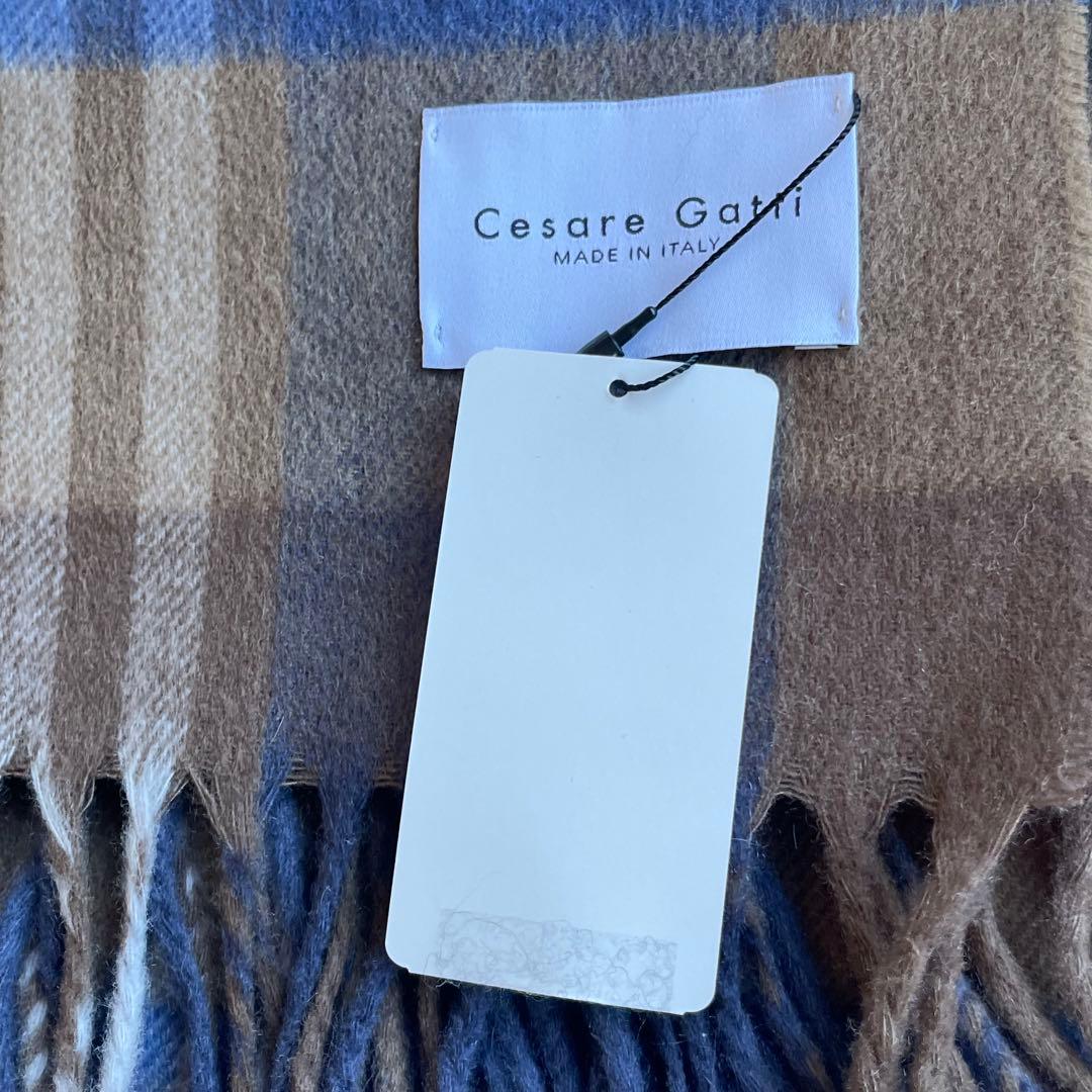 はむすたーCesare Gatti チェザーレ ガッティ☆カシミヤストール