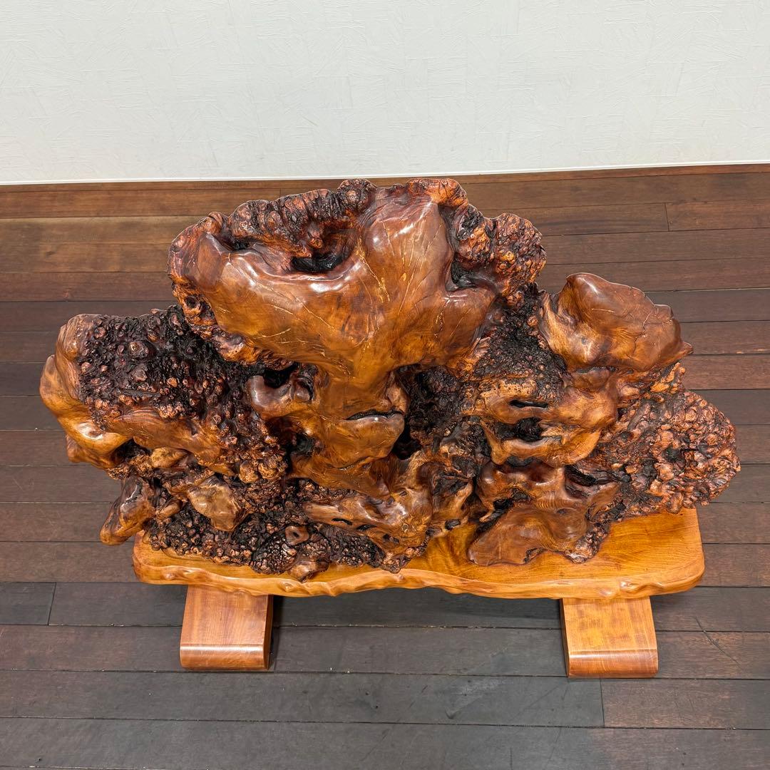 H21K45 巨大 天然木 瘤 衝立 コブ 木製オブジェ