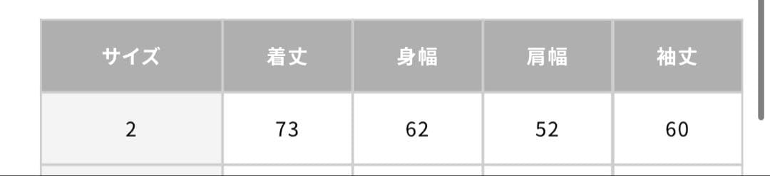 Silk Nep Twill Check Shirt アプレッセ