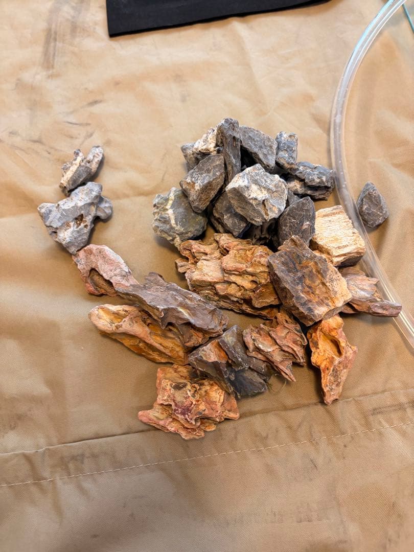 アクアリウム　セット