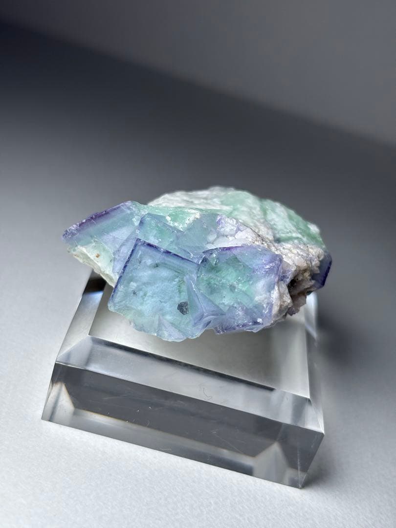 ポーセリンフローライト