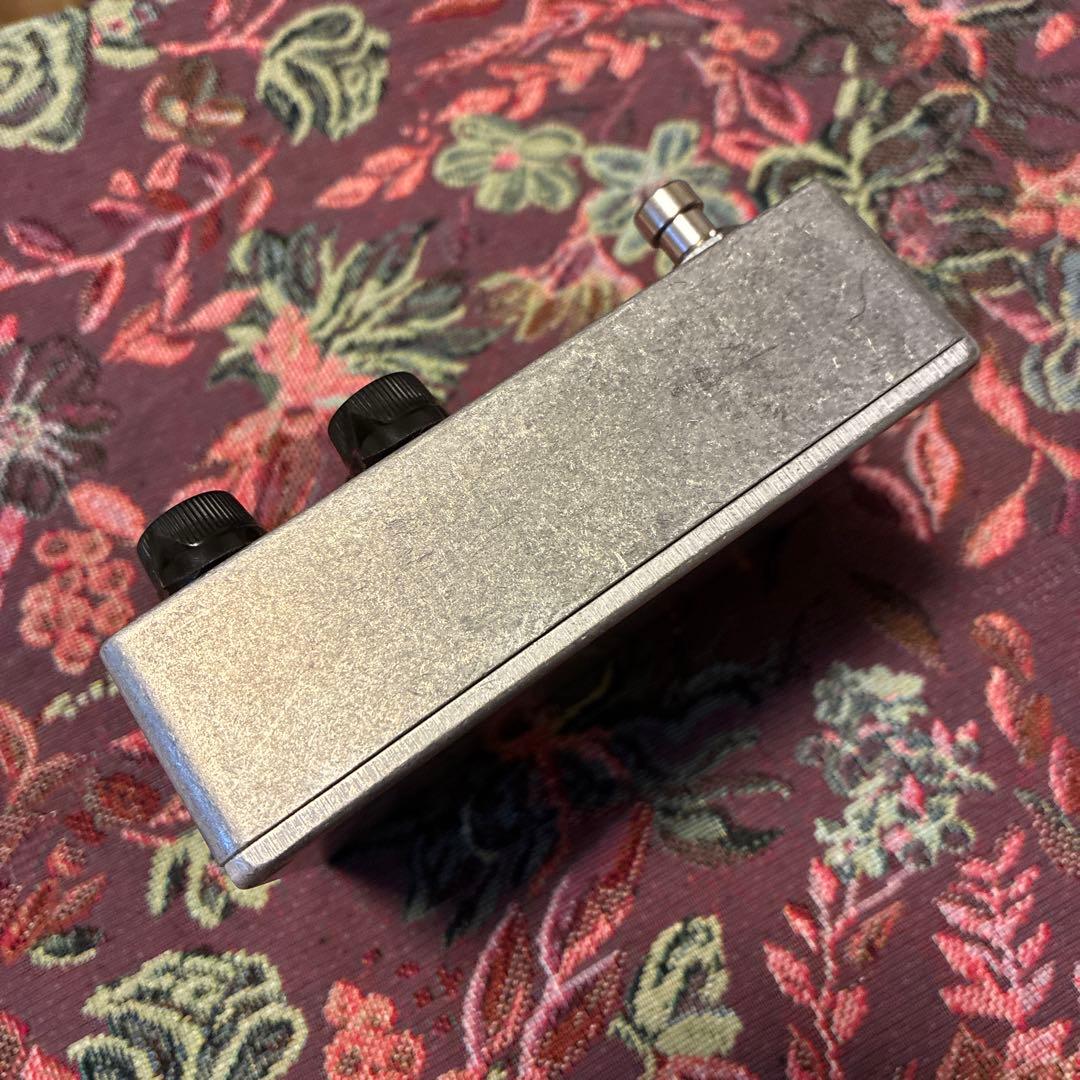 ギター Fairfield Circuitry Shallow Water