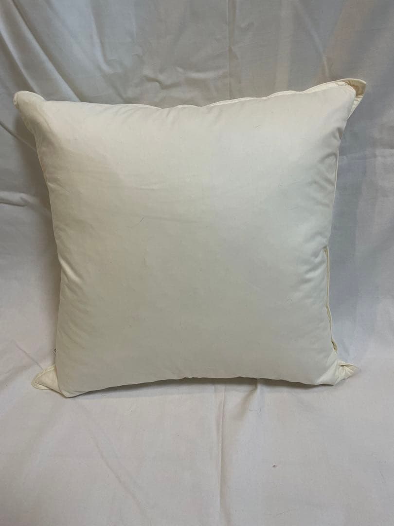 Francfranc クッションカバー　　　　　　フェザークッション　2個セット