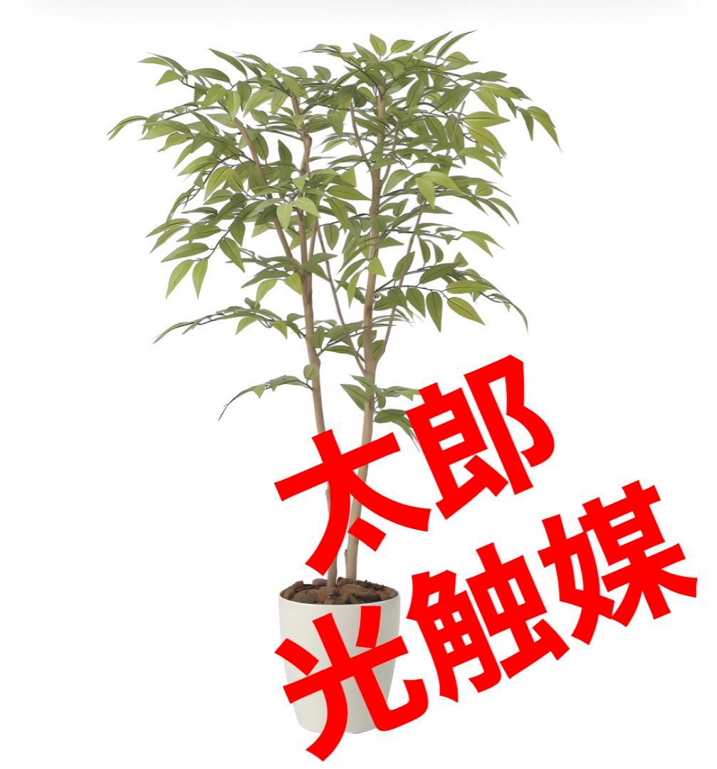 光触媒　人工観葉植物　ウォールグリーン　フェイクグリーン　ソヨゴ1.0