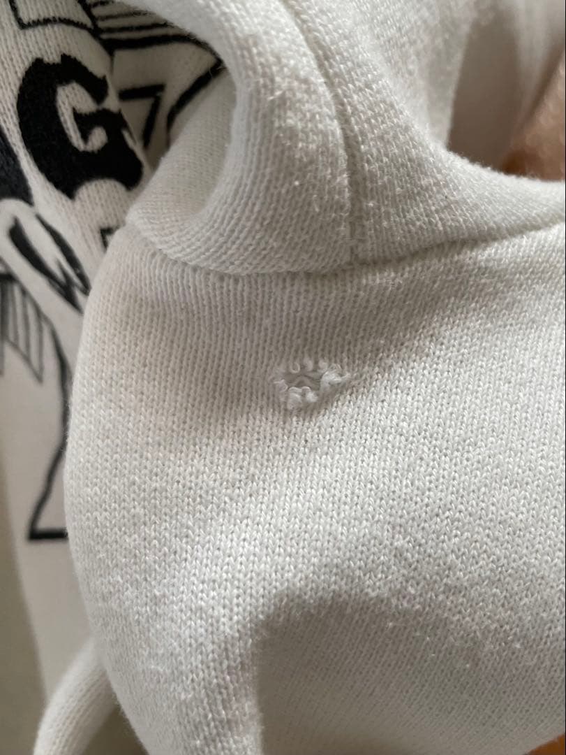 スケートボード 80s DOGTOWN powell santa cruz zorlac