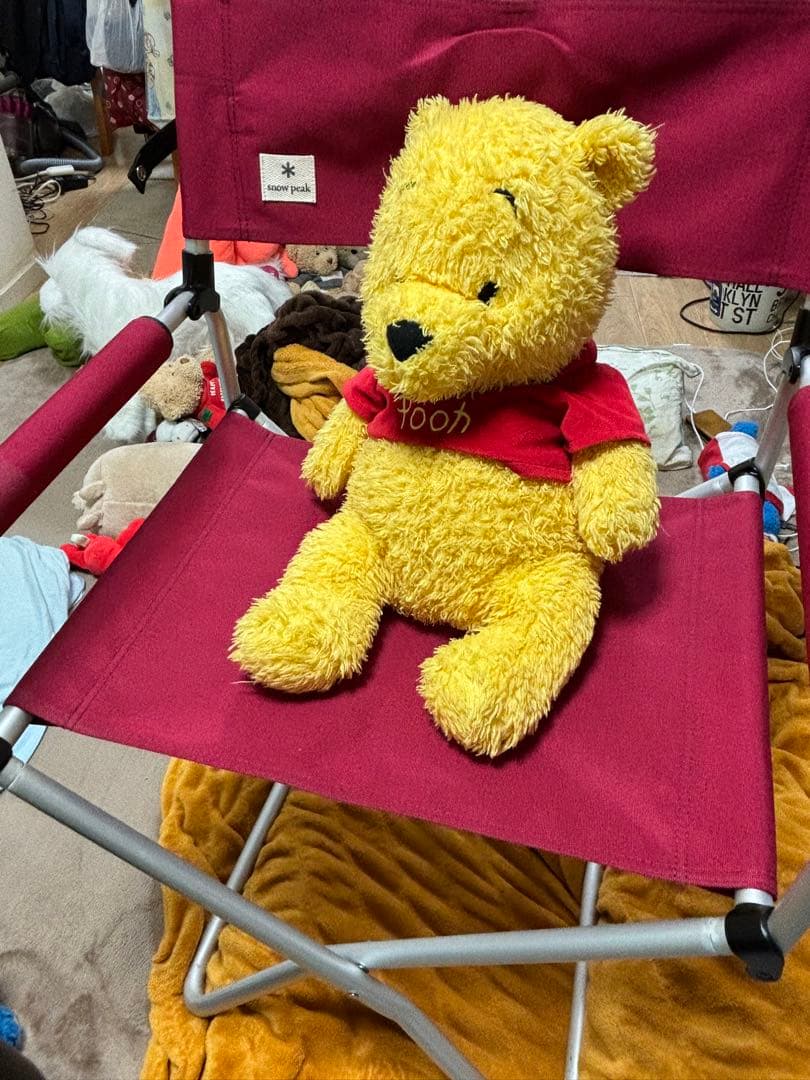 peak FDチェアワイドRD 2個セット