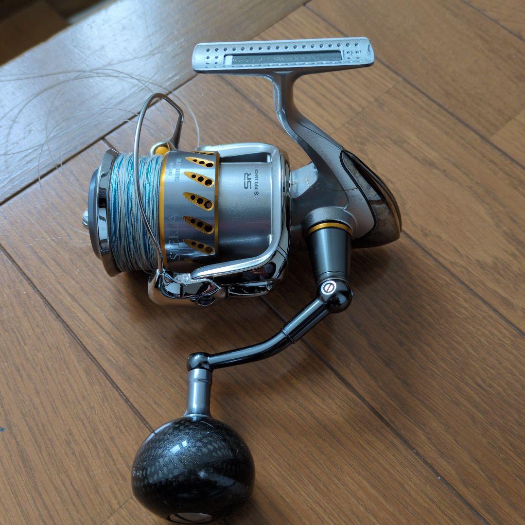 ステラＳＷ6000PG