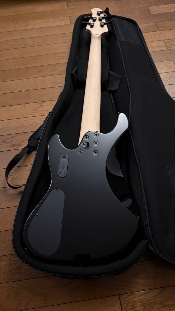 ベース Anaconda Basses Ultra J5 Black Burst