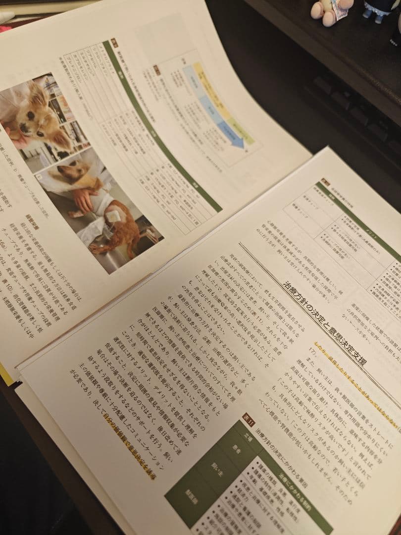 治療方針がみえてくる犬と猫の腫瘍診療　裁断済