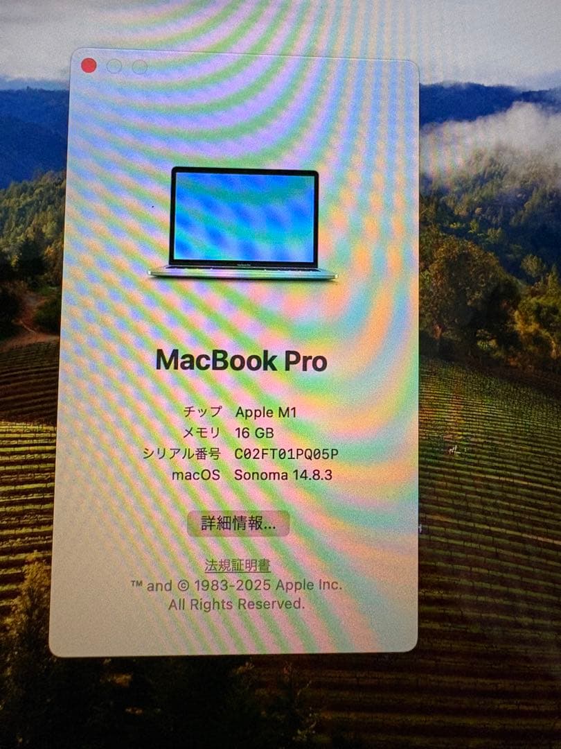 MacBook本体 MacBook Pro M1 2020 16GB 512GB