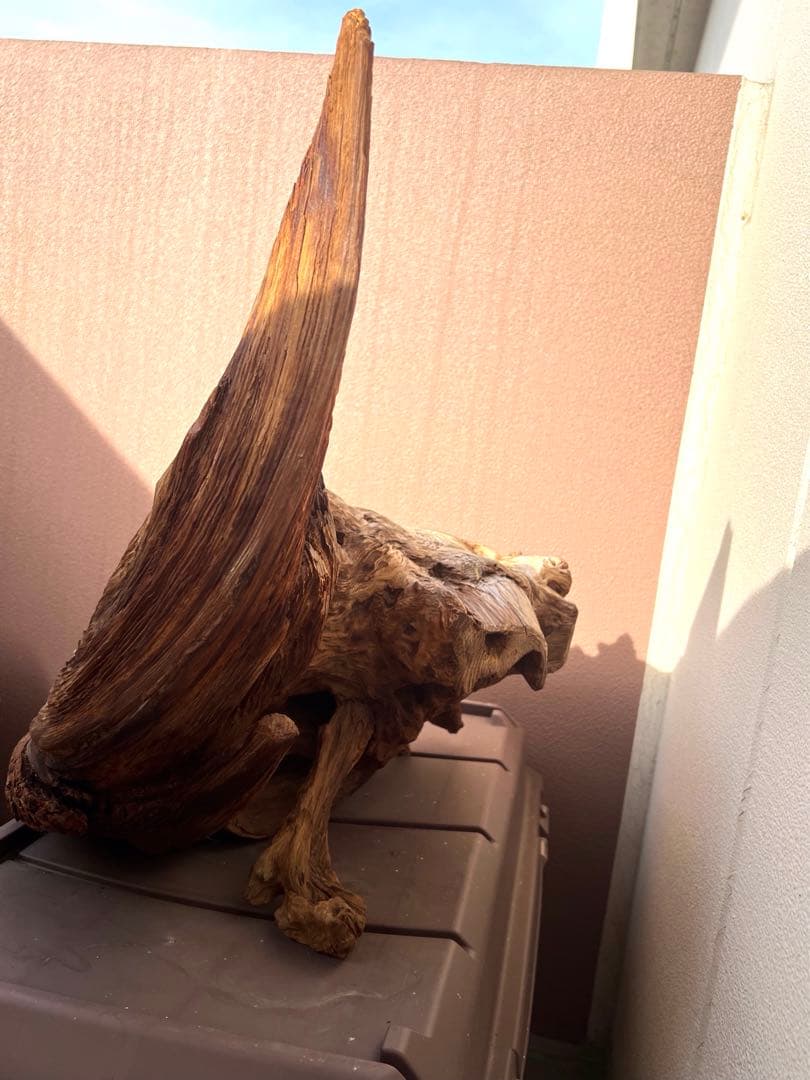 巨大　木 置物 インテリア オブジェ 置物 床の間飾り