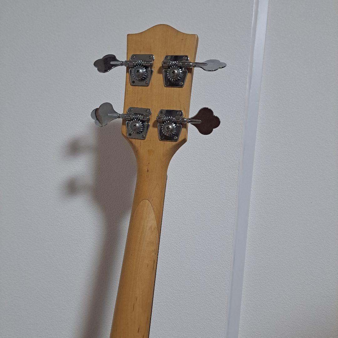 レアカラー！　SG　ベース 　フォトジェニック　photogenic