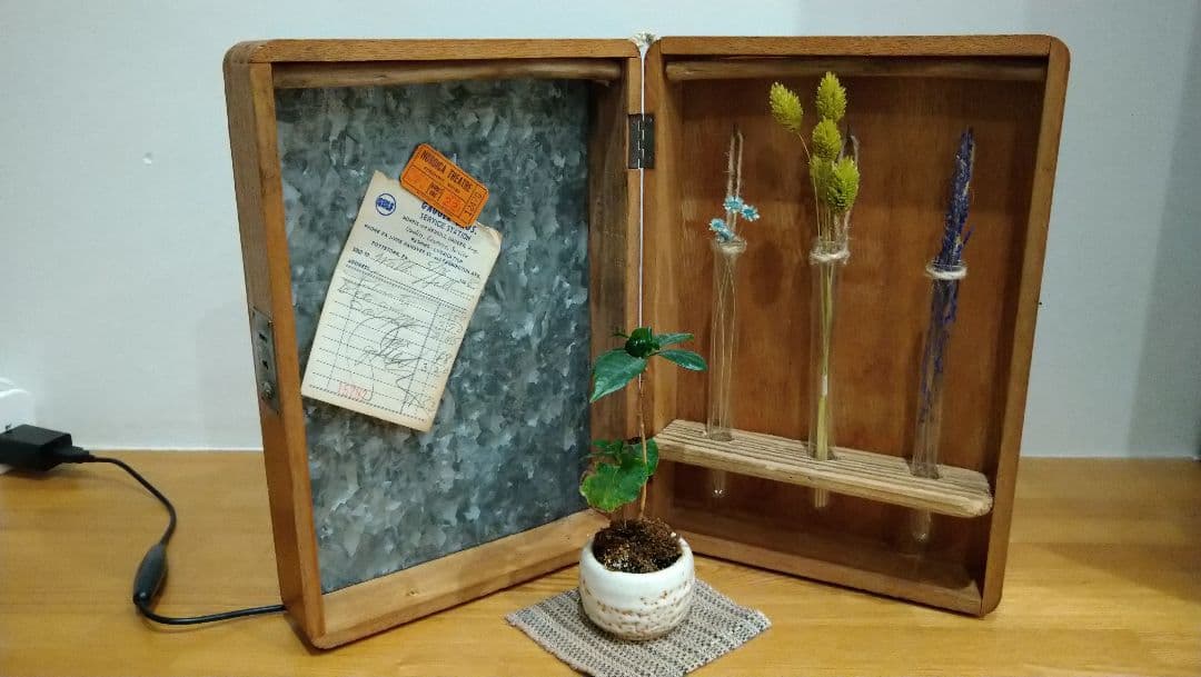 レトロBOXと流木のインテリアスタンド！！