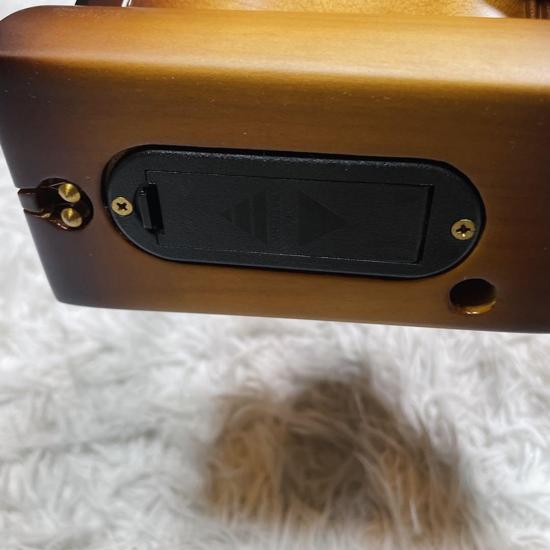 極美品　電気　ニ胡　エレキ　セミハードケース付き